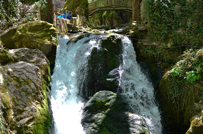 kazdaglari%20(1).jpg