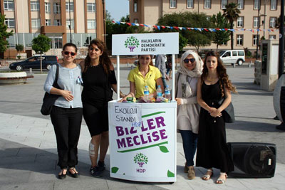 hdpstand%20(1).jpg