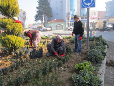 Ezine’de çevre düzenlemesi