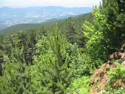 Halterciler Kaz Dağları’nda