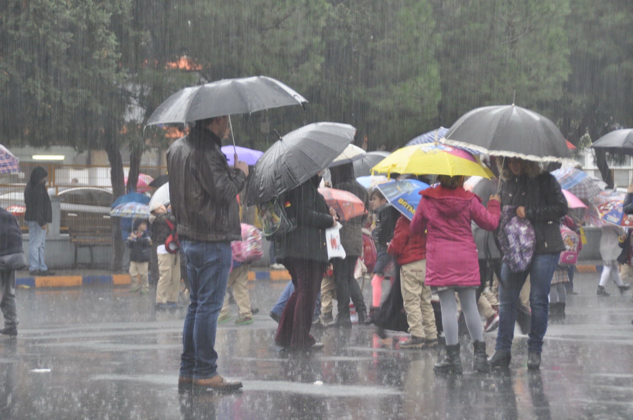 Çanakkale ılık ve yağışlı havanın etkisine girdi... 