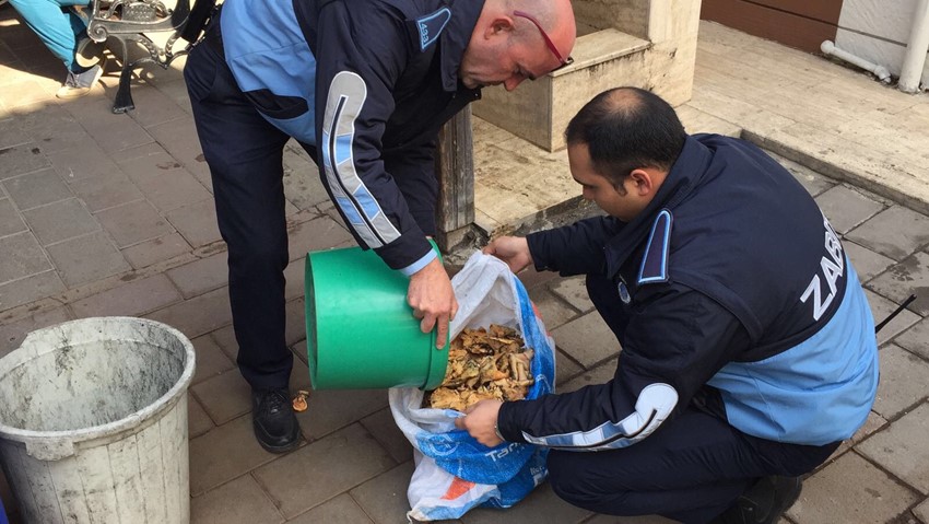 Zabıta ekipleri izinsiz satılan mantarlara el koydu