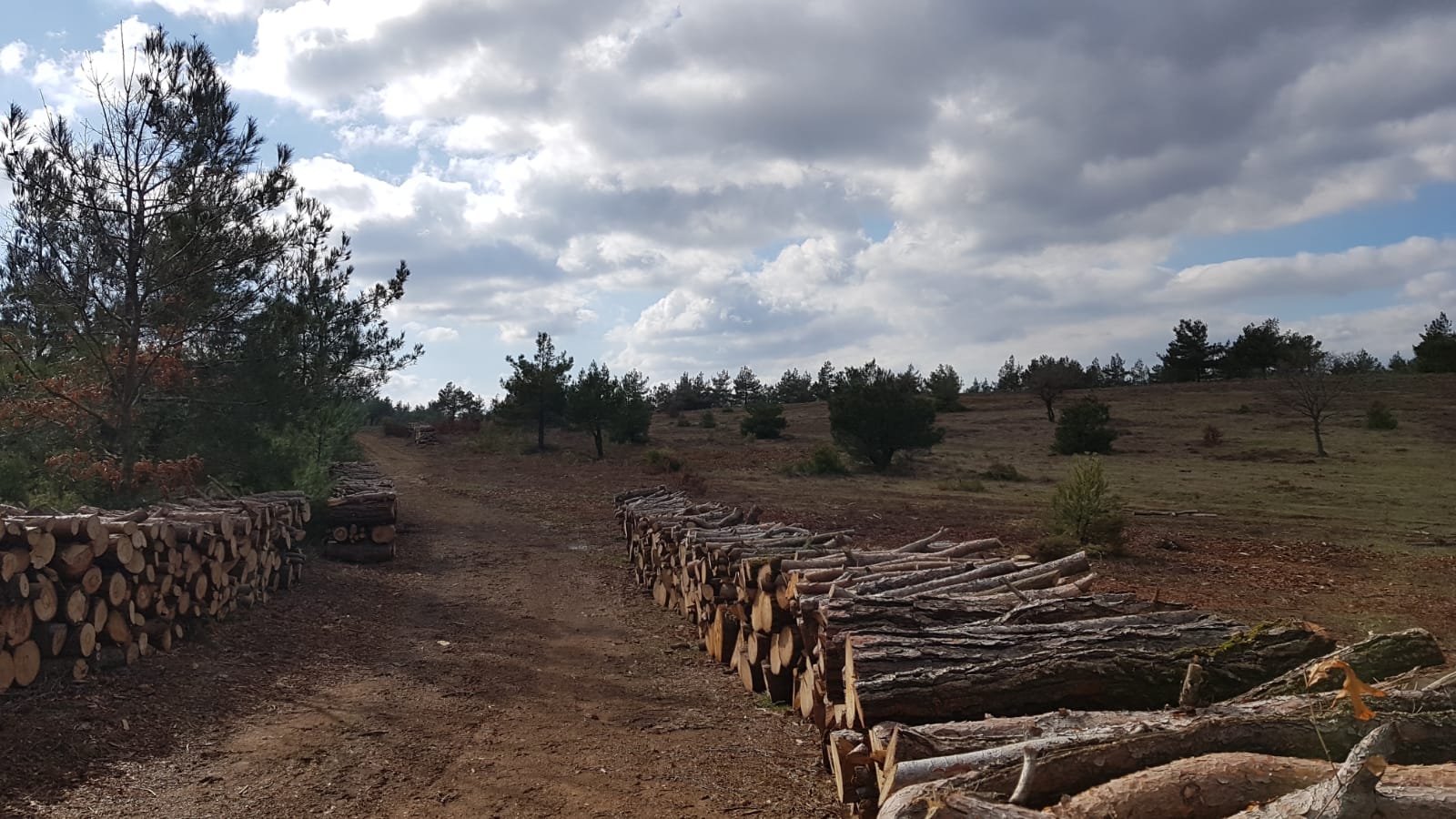 Haydi Çanakkale Halilağa'ya sahip çıkmaya!