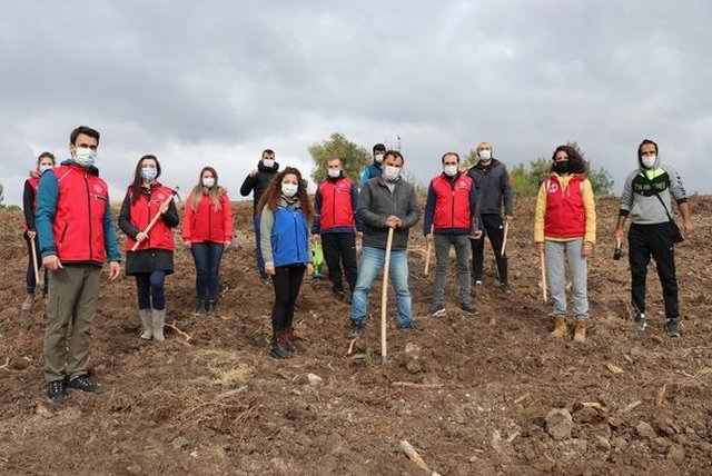 Ağaçlandırma etkinliği