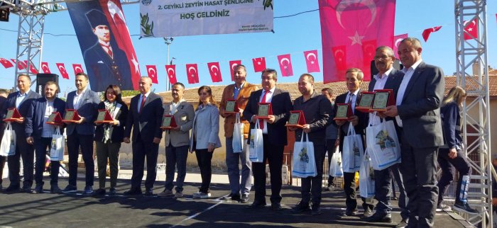 2'nci Geyikli zeytin hasadı şenliği başladı
