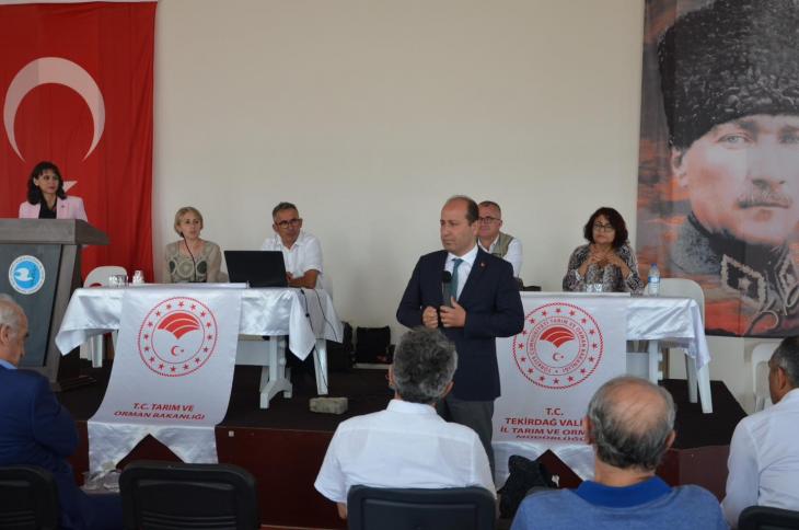 Zeytinciliğin sorunları ve çözüm önerileri toplantısı düzenlendi