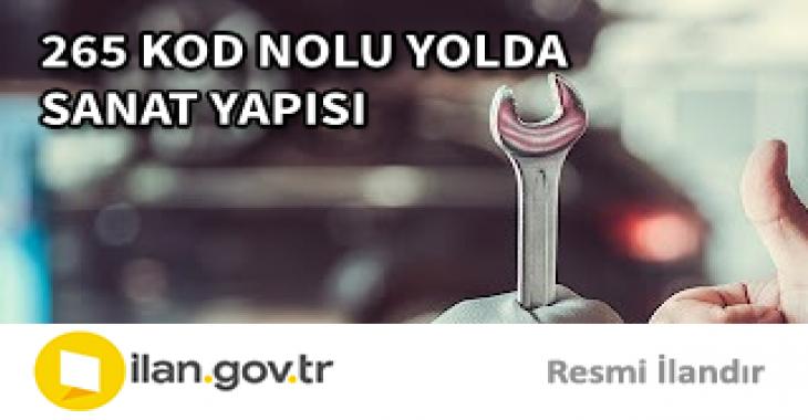 265 KOD NOLU YOLDA SANAT YAPISI