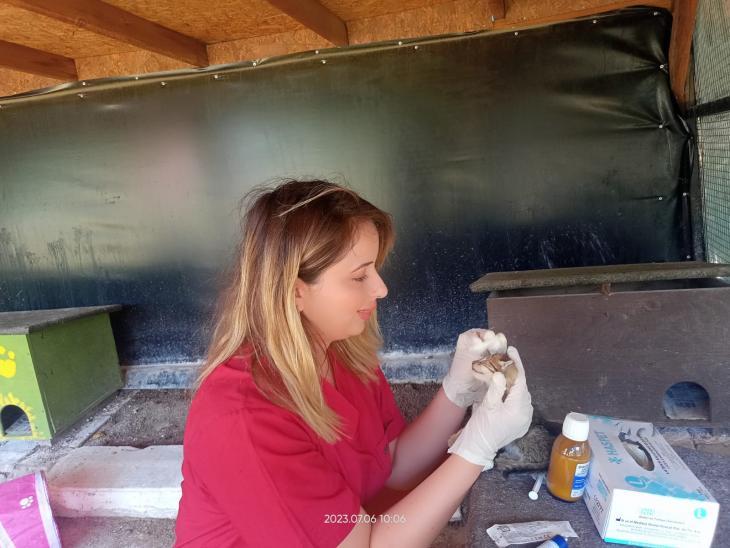 Kedi Köyü sakinlerinin sağlık taramaları yapıldı; Aşıdan kaçamadılar 