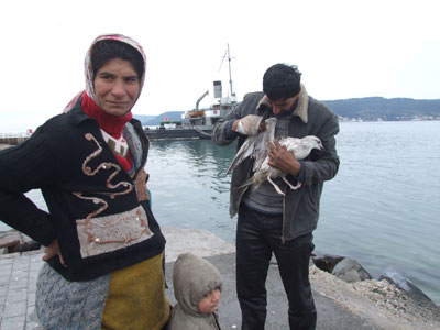 Yaralı martı ile hayatları değişti